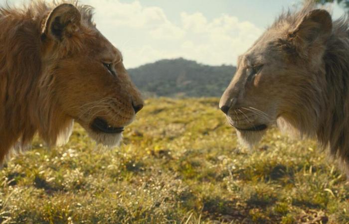 La saga de Scar y Mufasa se ahogó en el hiperrealismo en la gran pantalla