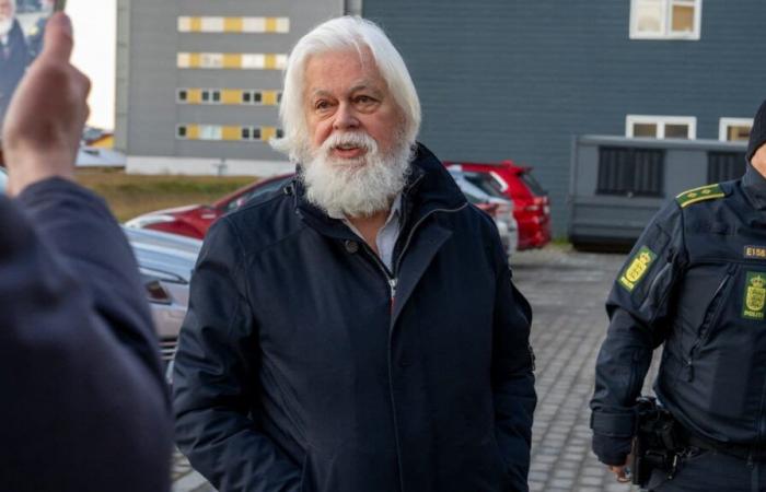 Paul Watson está “listo para continuar la lucha” contra la caza de ballenas