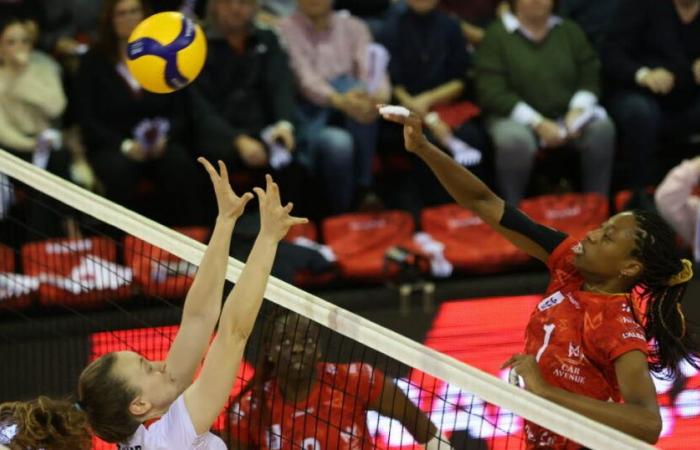 Voleibol. Siga en directo el partido entre Volley Mulhouse Alsace y Quimper a partir de las 19 h.