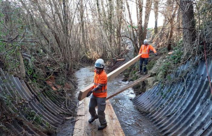 Grandes obras de emergencia en el cauce del Riou-Mort, bajo la RD 840 derrumbada en Firmi