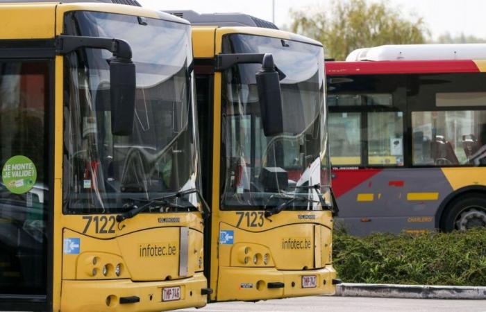 No cuentes con buses TEC para desplazarte este miércoles