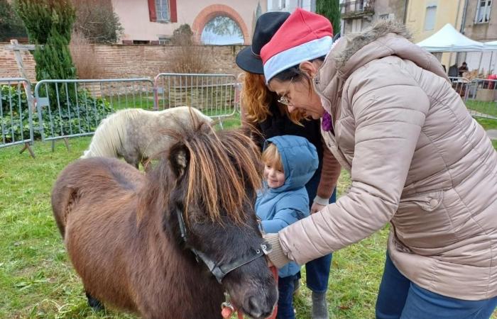 un mercado navideño para ayudar al refugio Inaya