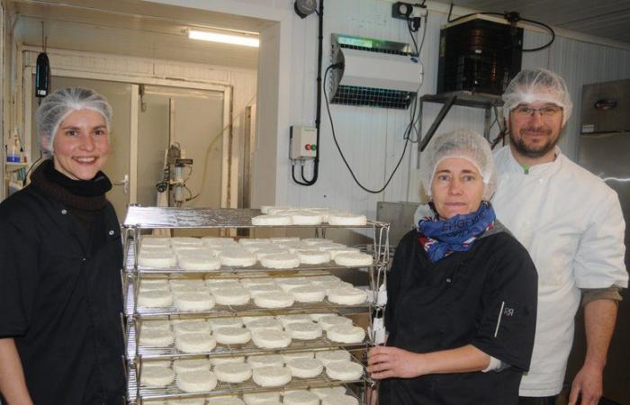 Productos del Sur de Aveyron: Pérail, el otro queso del Sur de Aveyron