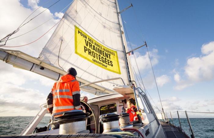 Áreas marinas protegidas: Greenpeace rastrea los barcos de pesca industrial