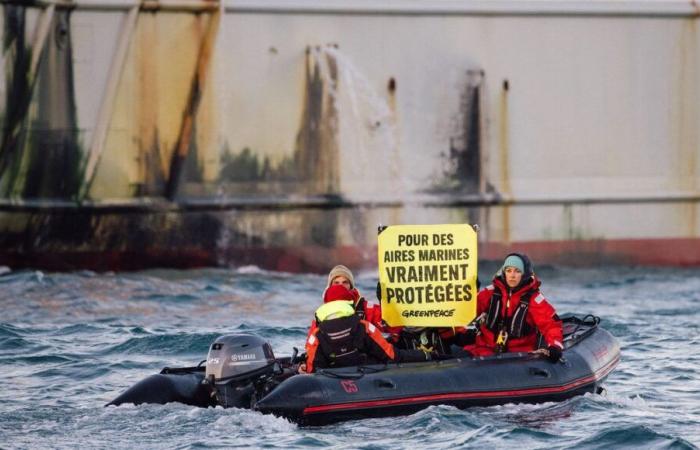 Áreas marinas protegidas: Greenpeace rastrea los barcos de pesca industrial