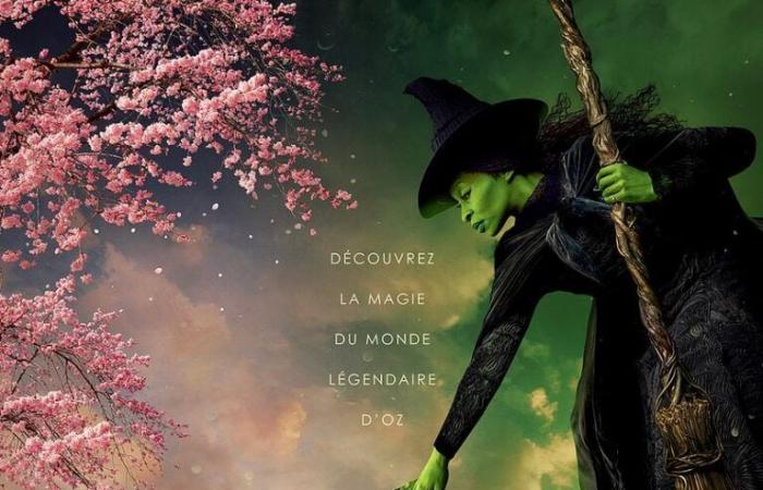 Wicked Cinema Grand Ecran Pontonx-sur-l’Adour viernes 20 de diciembre de 2024