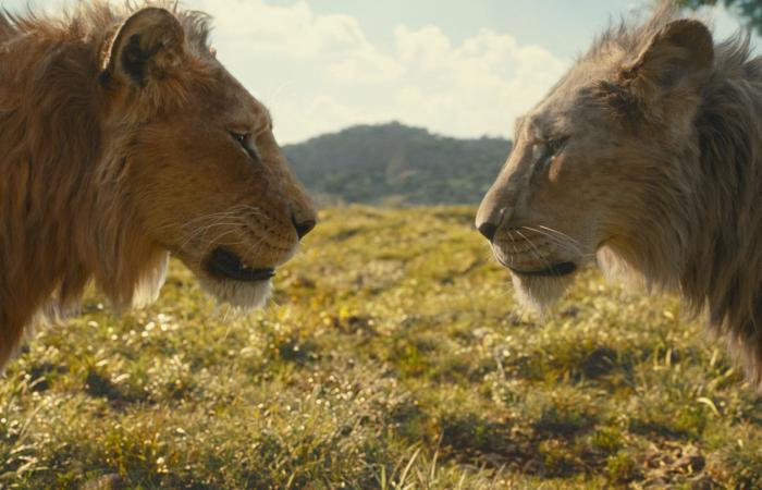 Revisión de Mufasa: la precuela del Rey León se siente como una imitación de DTV Disney