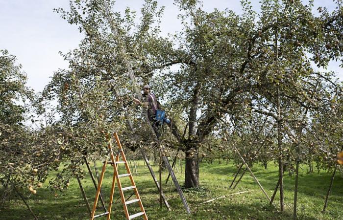 Nacional quiere más dinero para la agricultura