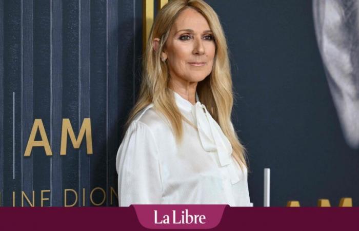 “Céline Dion ya no podrá ofrecer un espectáculo como antes”