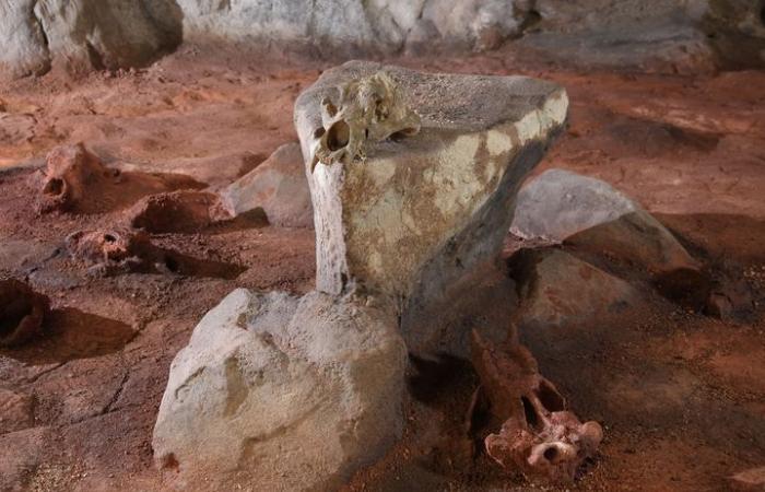 La cueva de Chauvet, capilla sixtina de la prehistoria, celebra treinta años de su descubrimiento