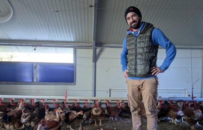 Comidas navideñas: capones y pavos de granja de Lozère en la Maison Delcros