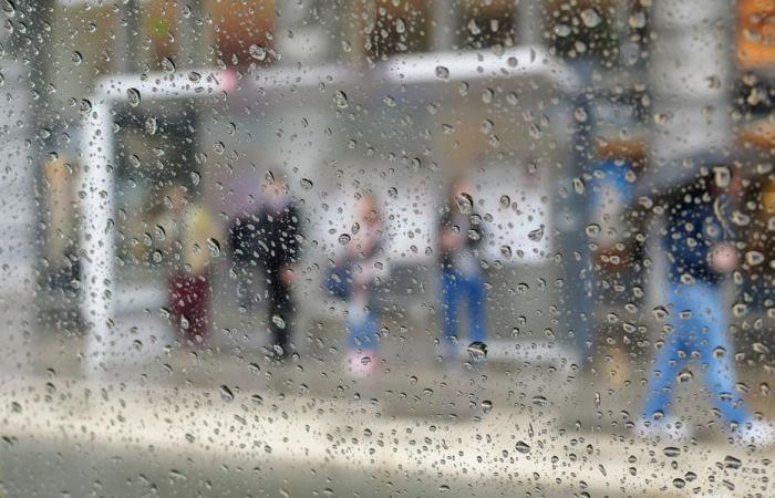 Informe meteorológico. ¿Cómo está el tiempo este miércoles 18 de diciembre en Alta Francia?