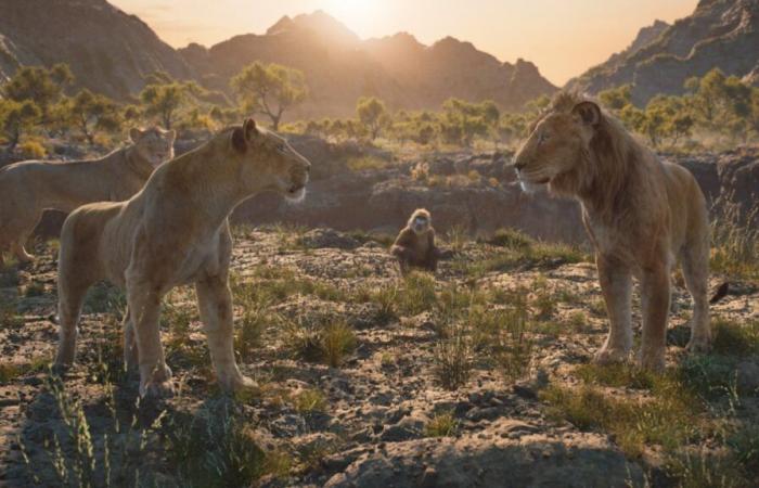 Parcoursup, Grenoble, “El Rey León”… Las cinco noticias positivas del día