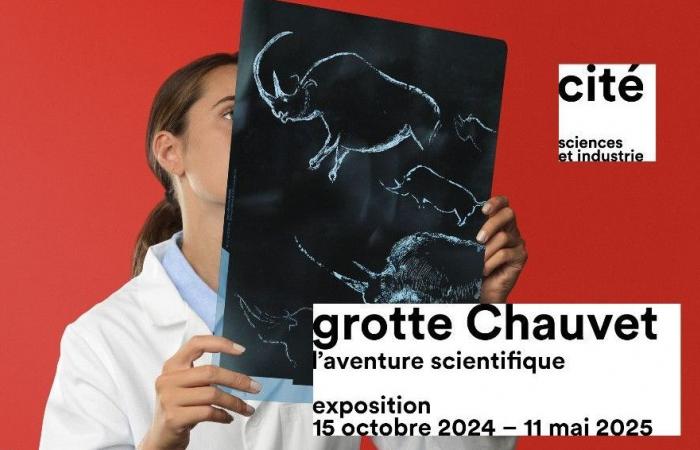 “La cueva Chauvet, la aventura científica” se podrá ver en la Ciudad de las Ciencias de París hasta el 11 de mayo de 2025