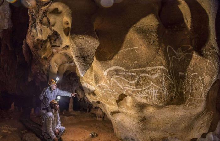 Un desprendimiento de tierra la había ocultado durante 21.000 años, esta cueva esconde las obras maestras más antiguas de la humanidad