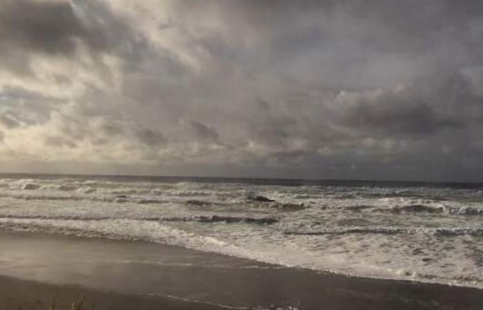 Fuertes vientos dejan sin electricidad a miles de personas en la costa de Oregón