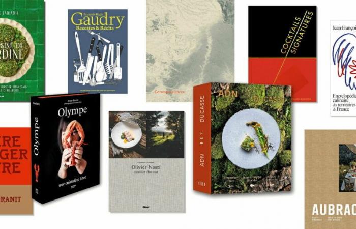 10 hermosos libros de cocina para esconder debajo del árbol