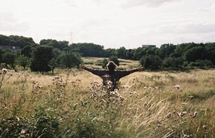 Cuando la infancia alza el vuelo – Vitav