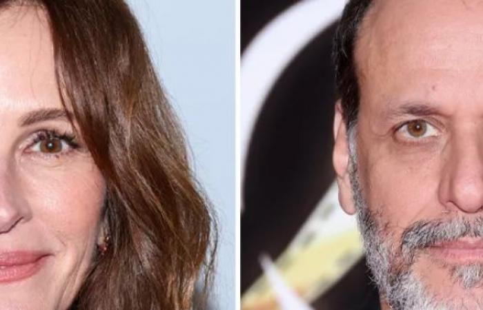 Pantallas de prueba ‘After the Hunt’ de Luca Guadagnino; El oportuno thriller #MeToo, Julia Roberts es “increíble” — World of Reel