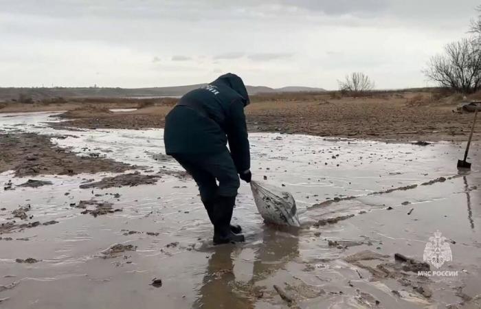 Rusia: derrame de petróleo en casi 50 kilómetros de playa tras el hundimiento de dos petroleros