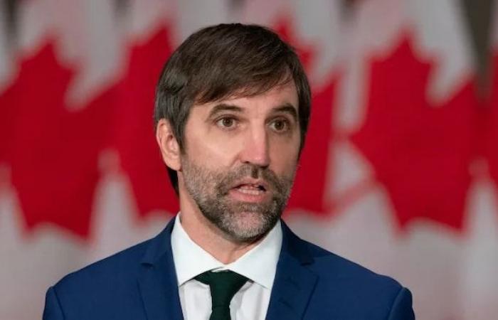 Canadá retrasa su objetivo de red eléctrica neutra en carbono hasta 2050