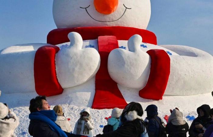 Los ingresos de los cortadores de hielo se derriten como nieve al sol