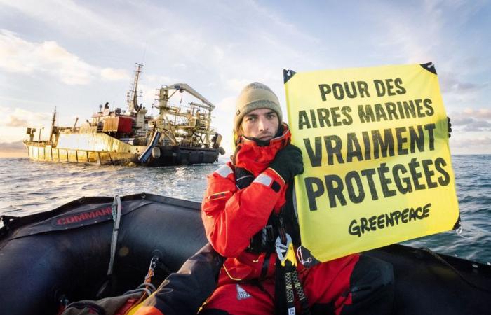 Áreas marinas protegidas: Greenpeace rastrea los barcos de pesca industrial