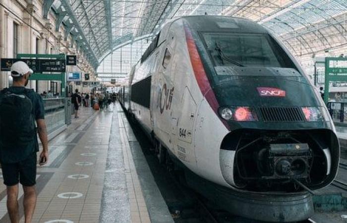 El tren sigue siendo popular a pesar del aumento de los precios