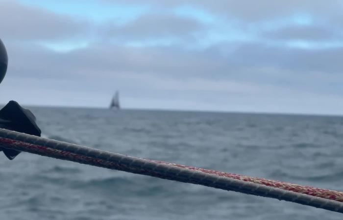 “La diferencia se marcará con el desgaste” para el trío de cabeza de la Vendée Globe casi de borde a borde en medio del Océano Pacífico