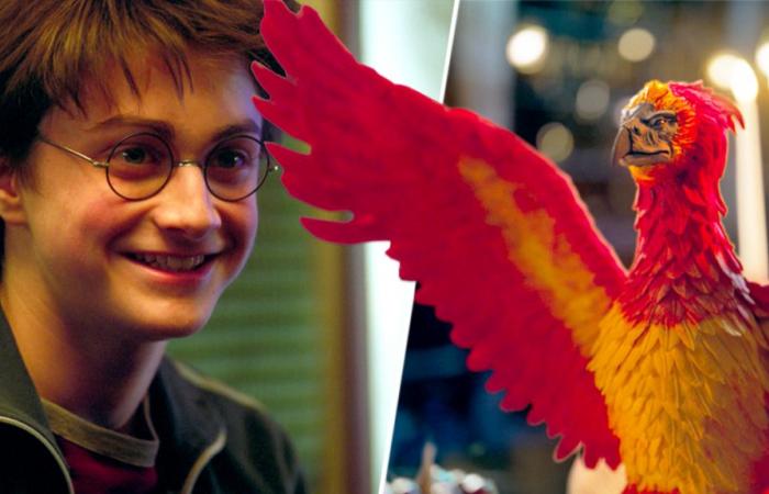 Fanáticos de Harry Potter encantados con la nueva serie que quizás te hayas perdido – Harry Potter