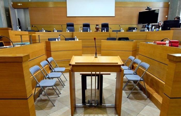 Tribunal Penal de Aveyron. Juicio Rieupeyroux: 7 años de prisión para el autor de los apuñalamientos