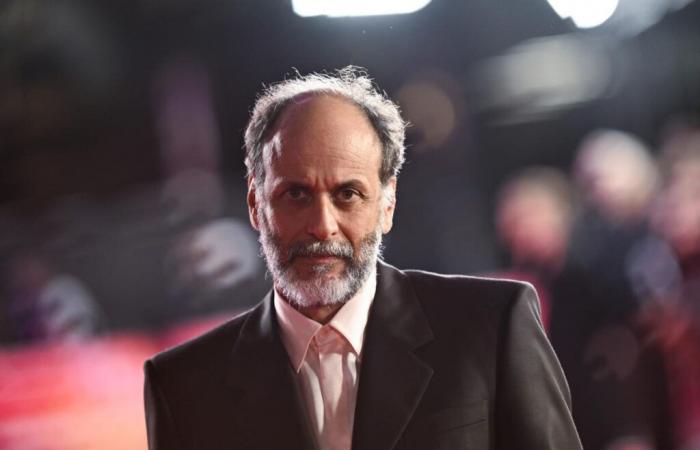 Luca Guadagnino dice que ‘After the Hunt’ no abordará ‘la sexualidad o el amor’ como lo han hecho sus otras películas