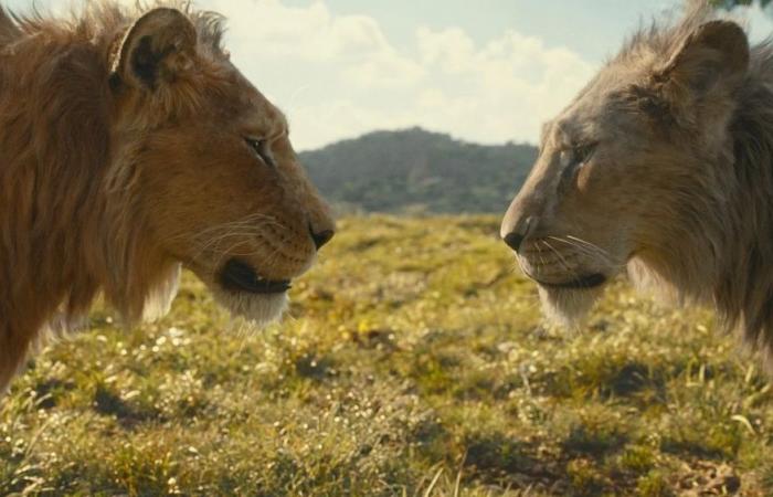 Nuestra reseña cinematográfica de la película “Mufasa, el Rey León”: el viaje del padre