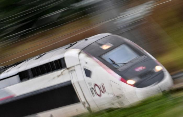 Menos TGV pero llenos como nunca antes: SNCF vuelve a sus ingresos anteriores a Covid – 18/12/2024 a las 14:46