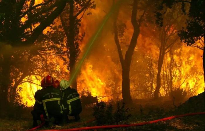 La fiscalía de Draguignan solicita nuevas investigaciones sobre el incendio mortal en el macizo de Maures en 2021