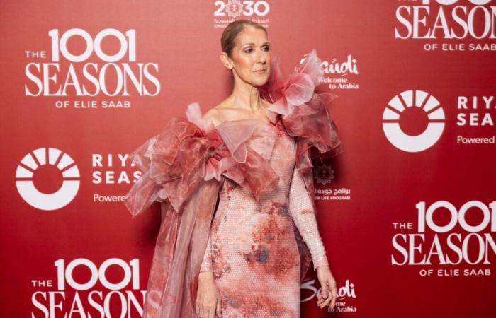 Céline Dion enferma: “sin poner en peligro su vida…”, esta dolorosa descripción de una de sus amigas