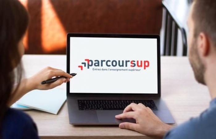 Parcoursup: la plataforma está abierta