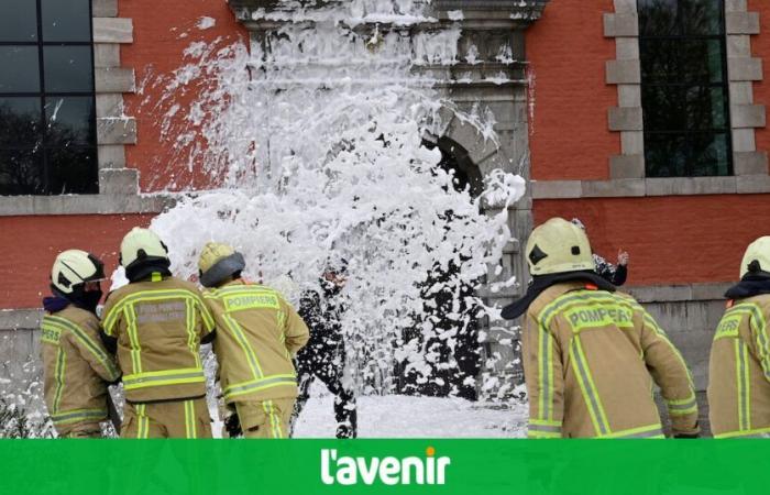 Varios centenares de agentes de los servicios públicos valones salen a las calles de Namur para denunciar los recortes presupuestarios