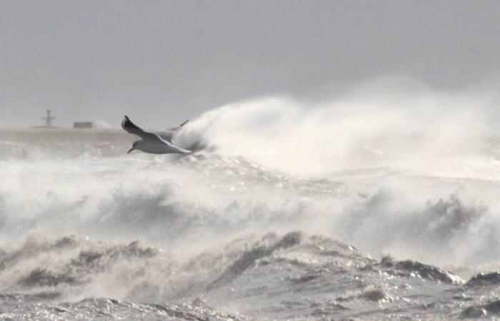 Vientos fuertes, rachas de hasta 130 km/h… Una tormenta llegará al Mediterráneo a finales de semana: esto es lo que nos espera en la Costa Azul