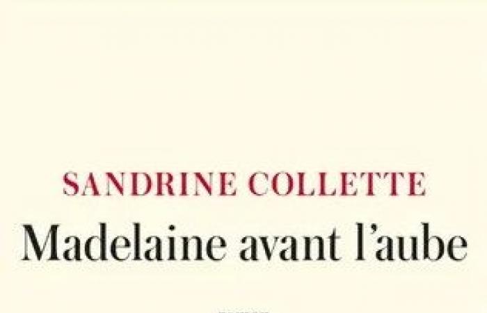 El premio Goncourt para presos 2024 otorgado a Sandrine Collette por su novela “Madelaine avant l’aube”