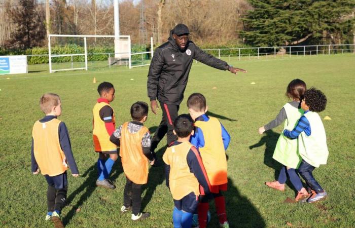 Angoulême: el club de fútbol Basseau está repleto de niños