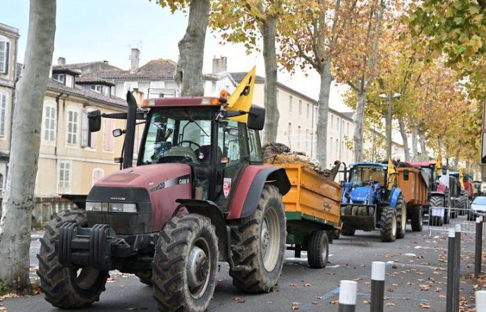 “Pon algunas estrellas en los ojos de la gente”: la Coordinación Rural del Gers organiza un desfile de tractores antes de Navidad