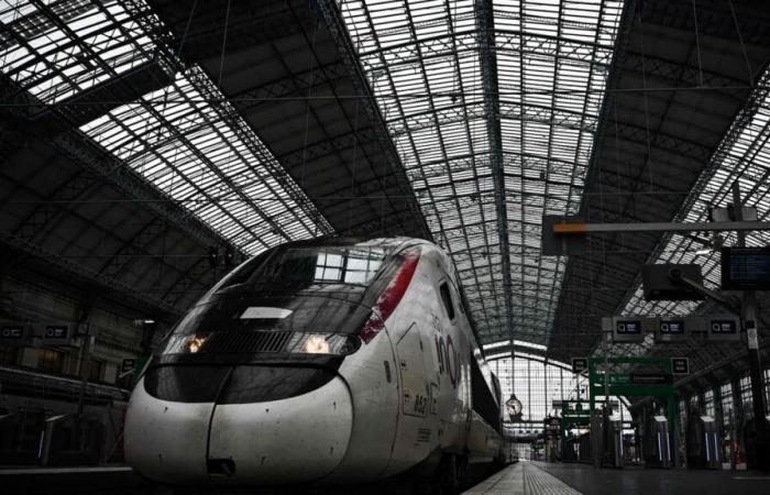 Condenada a 18 años por dar a luz y luego matar a su recién nacido en un TGV