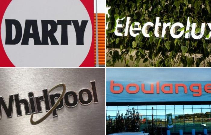 Darty, Boulanger, SEB: multa de 611 millones de euros por fijación de precios, condenadas 12 marcas de electrodomésticos