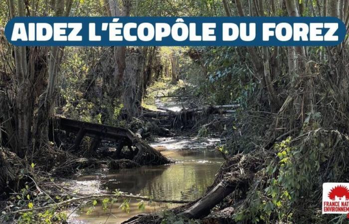 Inundaciones: la Ecopole du Forez necesita 10.000 euros para limpiar y reparar los daños