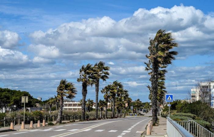 Hasta 120 km/h en Canigó, se esperan fuertes ráfagas de viento este jueves por la noche en Rosellón y Aude