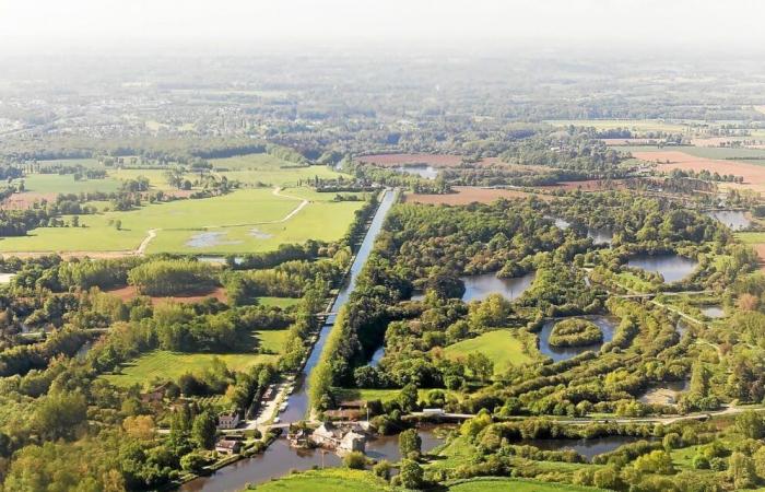 ¿Qué municipios ganan o pierden más habitantes en Ille y Vilaine?