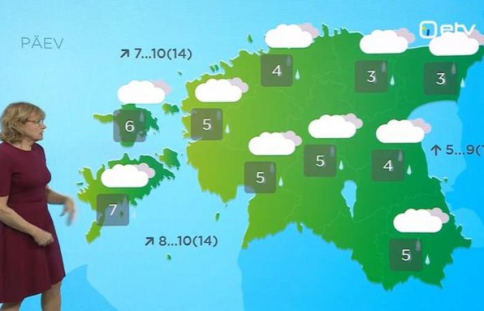 El tiempo desde el jueves hasta las vacaciones de Navidad será templado pero húmedo y ventoso | noticias