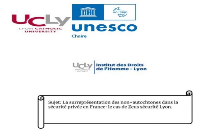 La sobrerrepresentación de los no nativos en la seguridad privada en Francia: problemas, desafíos y perspectivas