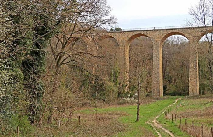 Essonne 2030: El Departamento en el camino hacia la neutralidad de carbono